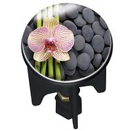 Pluggy Spa 